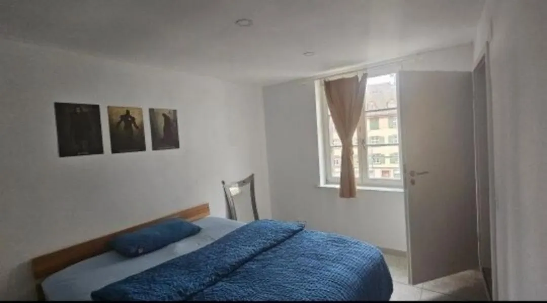Appartement Rent A Home, Saegergaesslein 4, An Zentraler Lage In Bâle Suisse